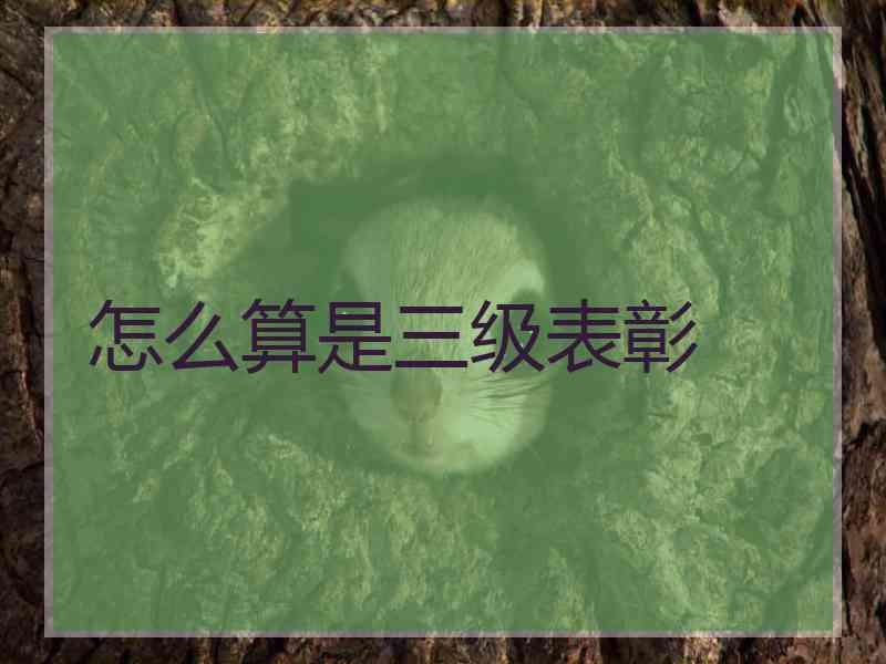 怎么算是三级表彰