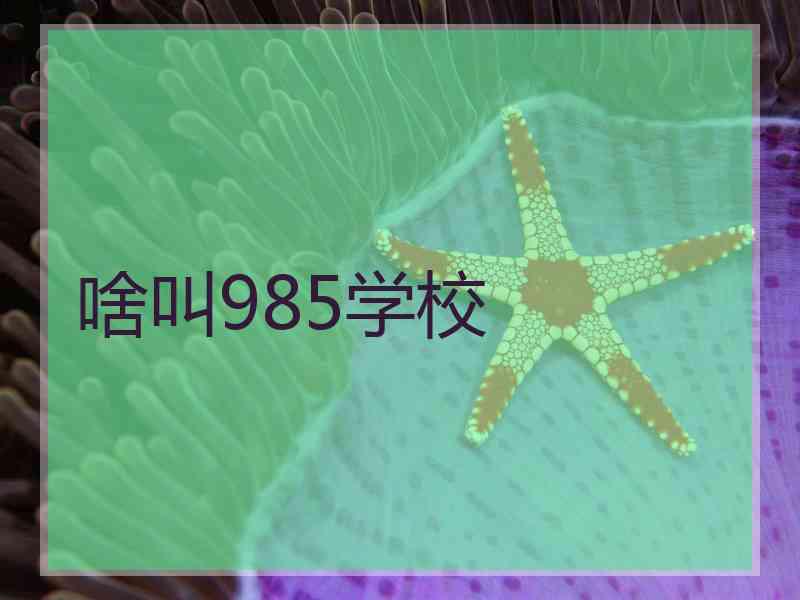 啥叫985学校