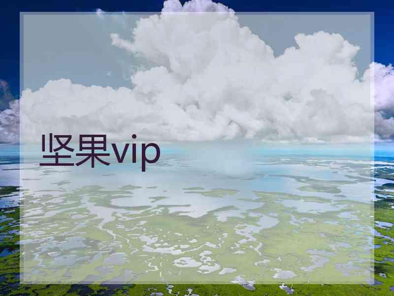 坚果vip