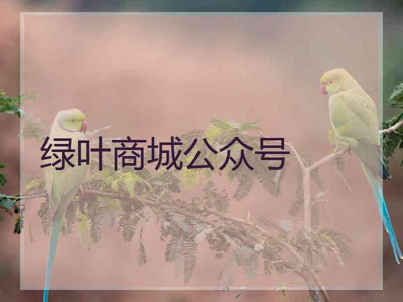 绿叶商城公众号