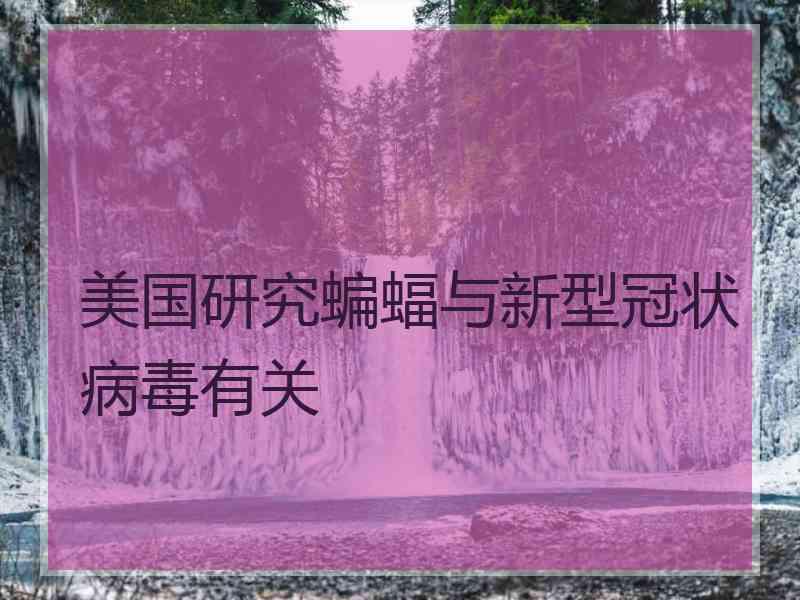 美国研究蝙蝠与新型冠状病毒有关