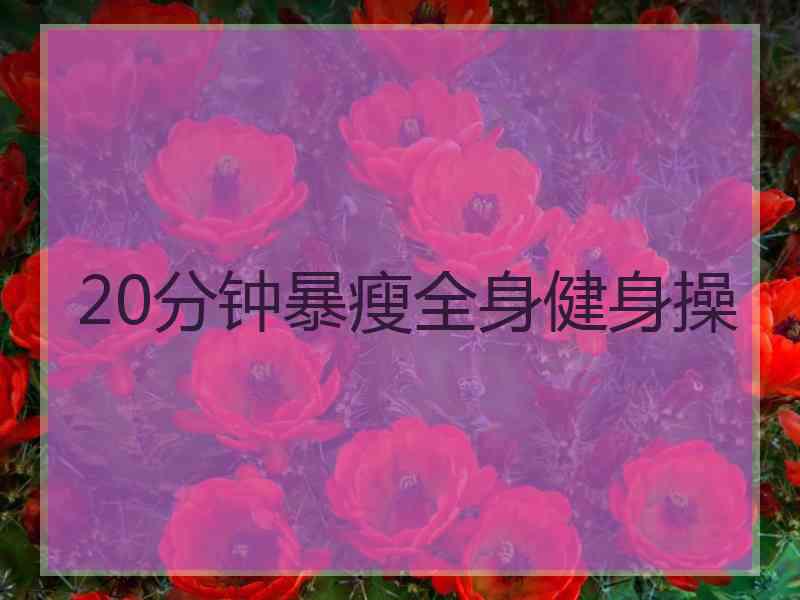 20分钟暴瘦全身健身操