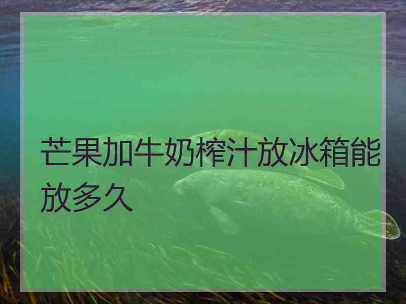 芒果加牛奶榨汁放冰箱能放多久