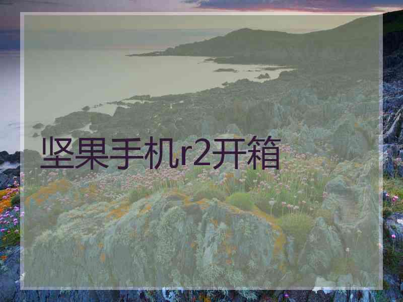 坚果手机r2开箱