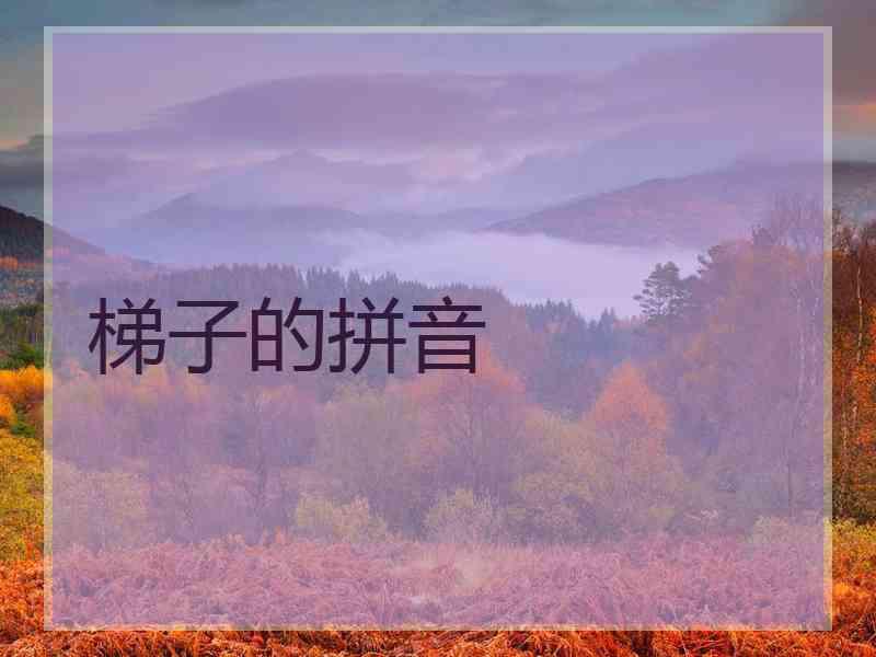 梯子的拼音