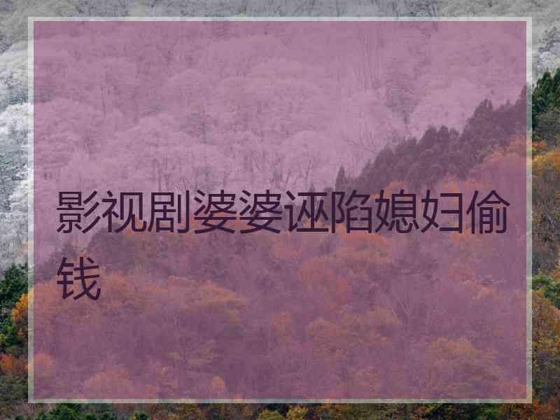 影视剧婆婆诬陷媳妇偷钱