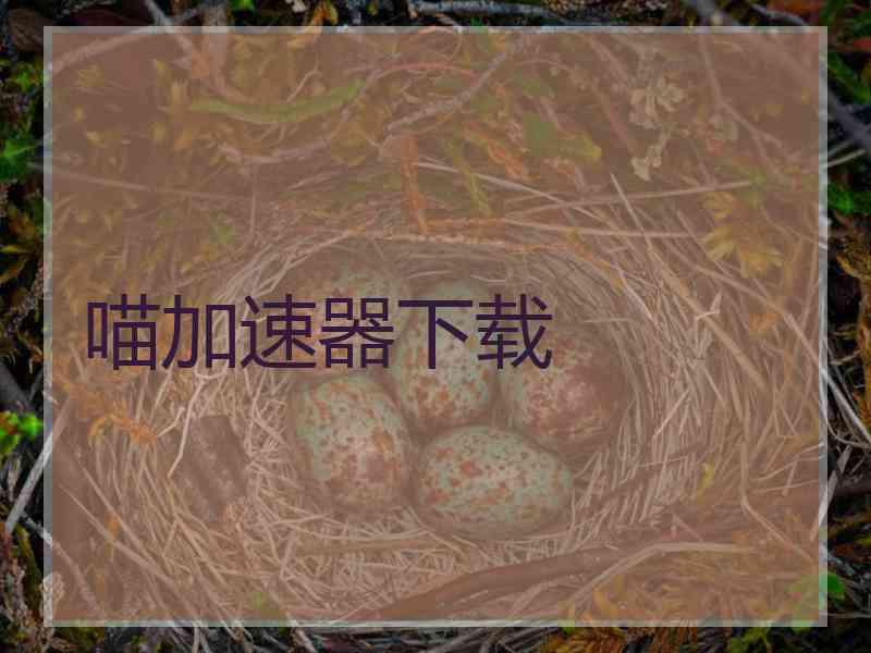 喵加速器下载