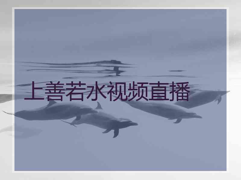 上善若水视频直播