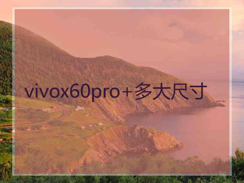 vivox60pro+多大尺寸