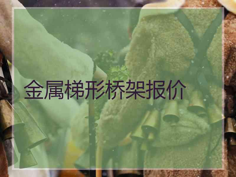 金属梯形桥架报价