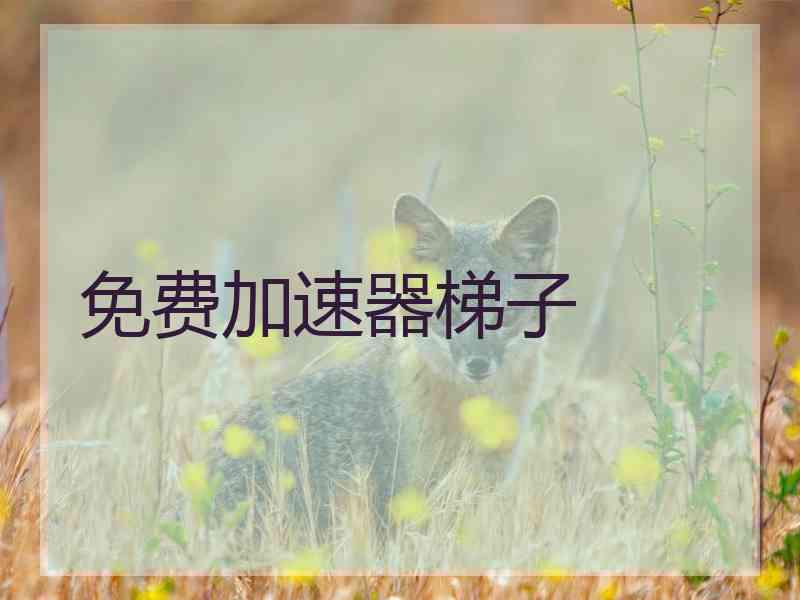 免费加速器梯子