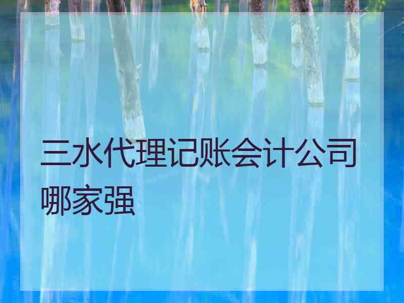 三水代理记账会计公司哪家强