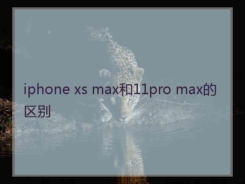 iphone xs max和11pro max的区别