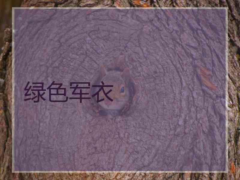 绿色军衣