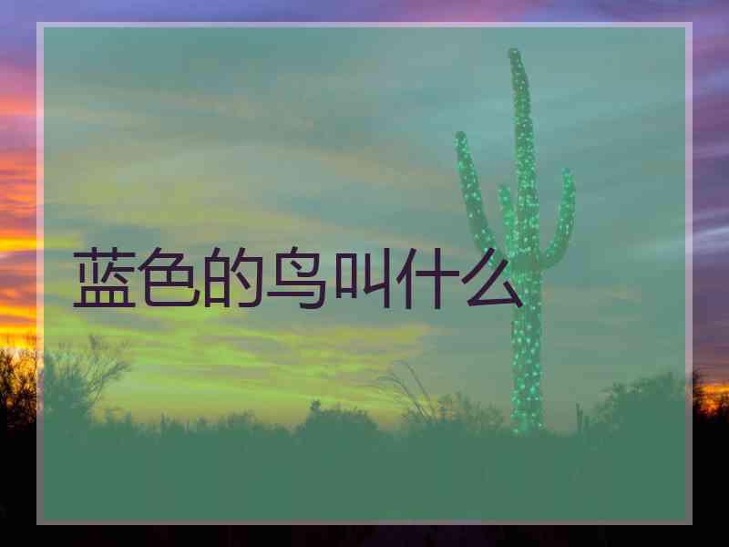 蓝色的鸟叫什么
