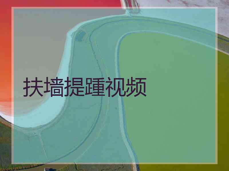 扶墙提踵视频