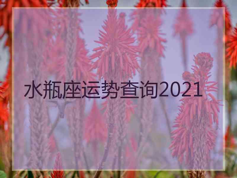 水瓶座运势查询2021