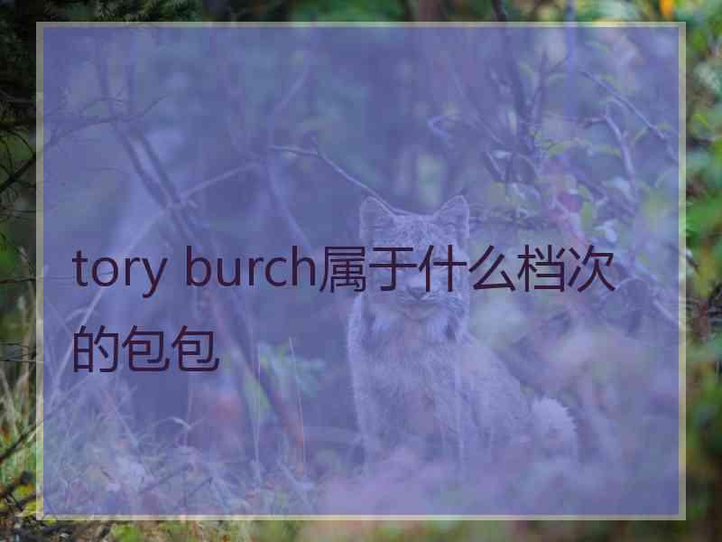 tory burch属于什么档次的包包