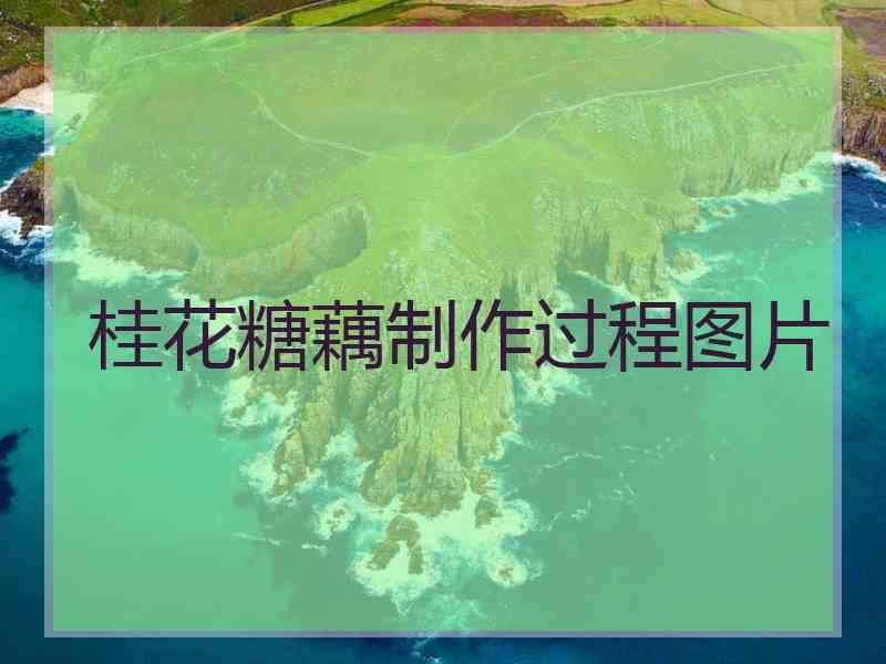 桂花糖藕制作过程图片