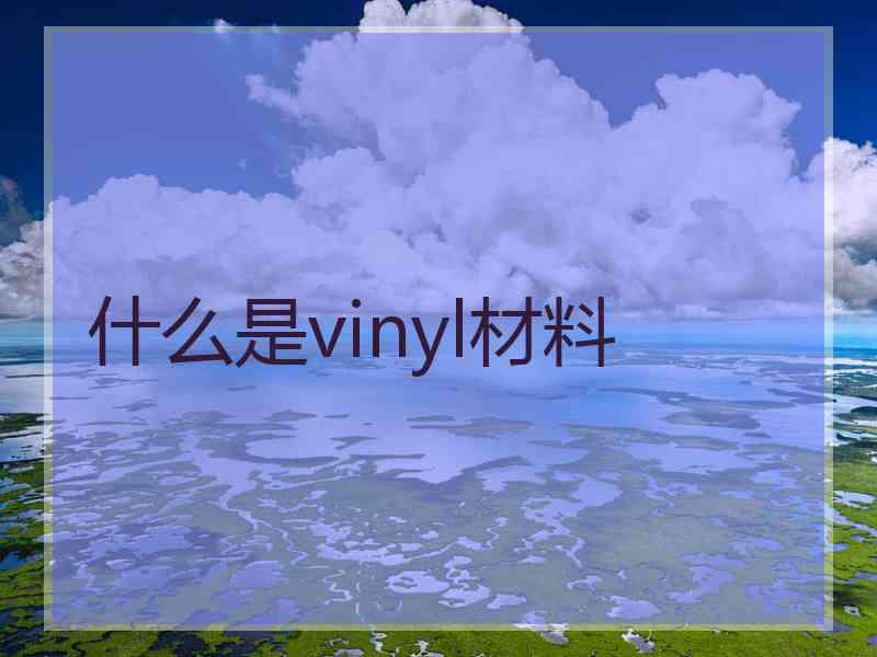 什么是vinyl材料