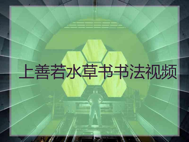 上善若水草书书法视频