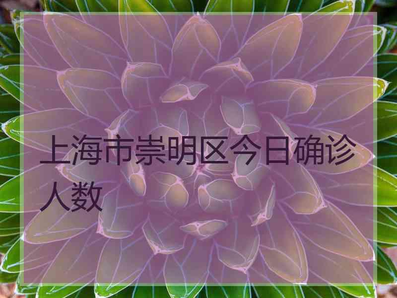 上海市崇明区今日确诊人数
