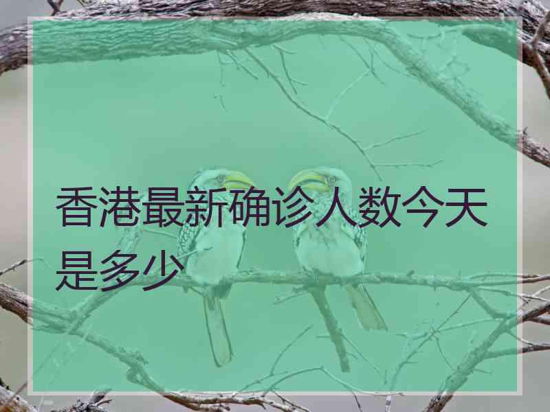 香港最新确诊人数今天是多少