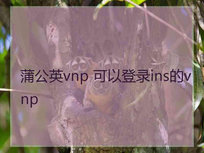 蒲公英vnp 可以登录ins的vnp
