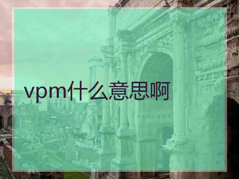 vpm什么意思啊