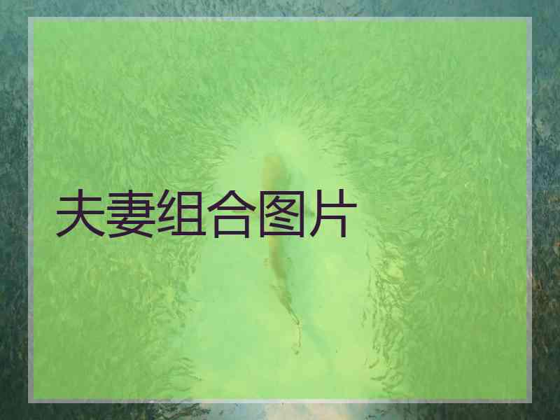 夫妻组合图片