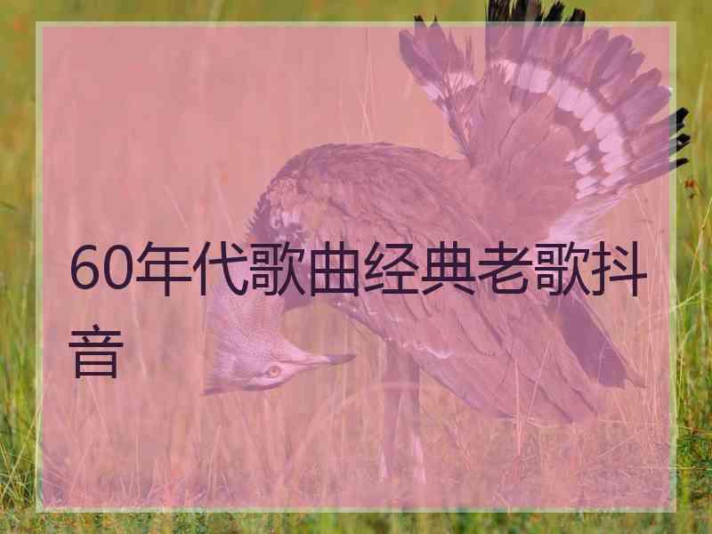 60年代歌曲经典老歌抖音