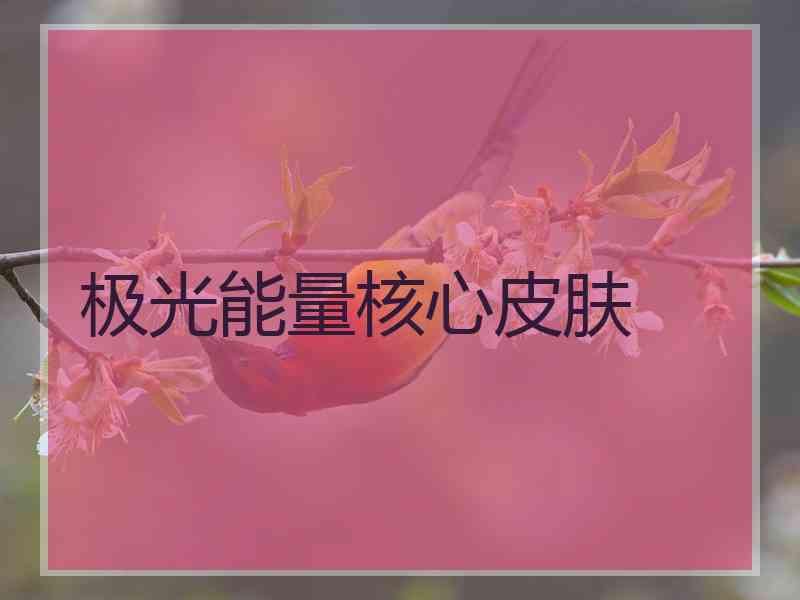极光能量核心皮肤