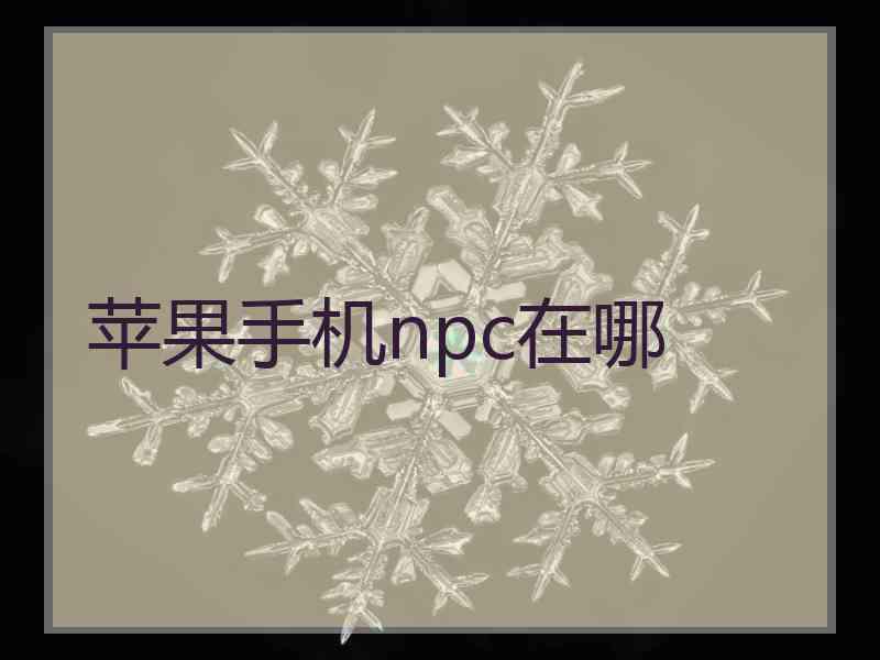苹果手机npc在哪