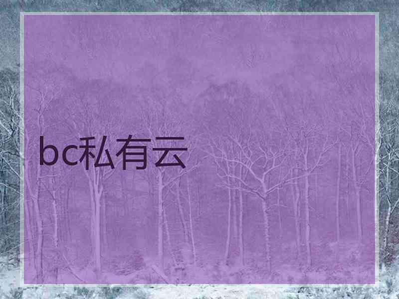 bc私有云