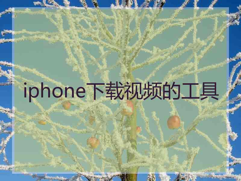 iphone下载视频的工具
