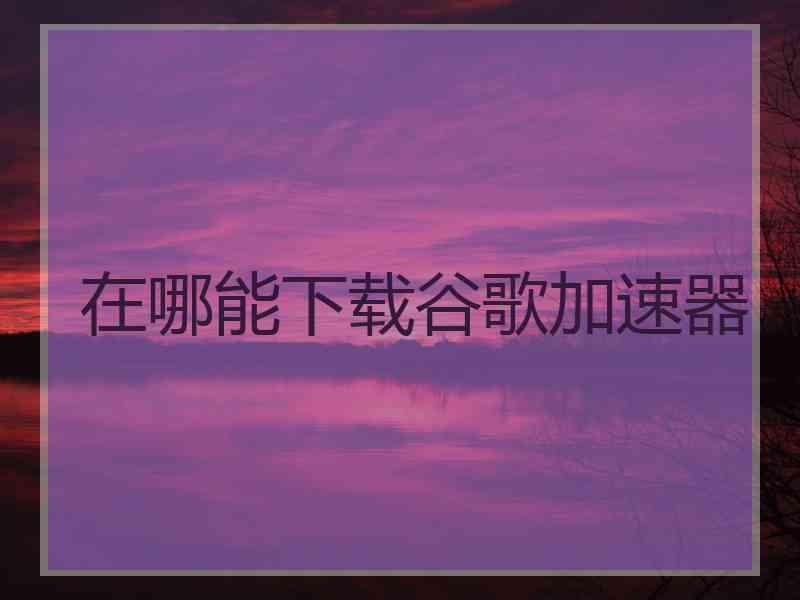 在哪能下载谷歌加速器