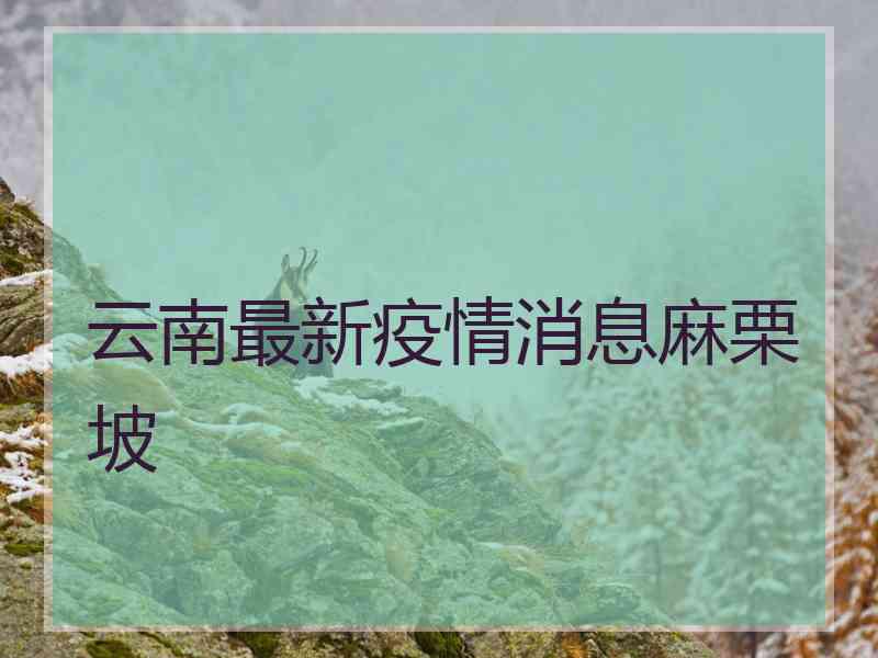 云南最新疫情消息麻栗坡