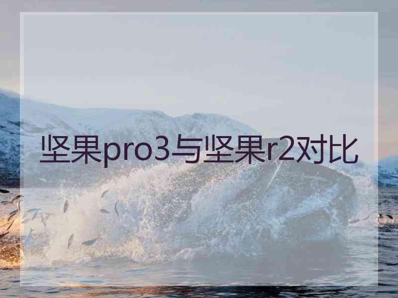 坚果pro3与坚果r2对比