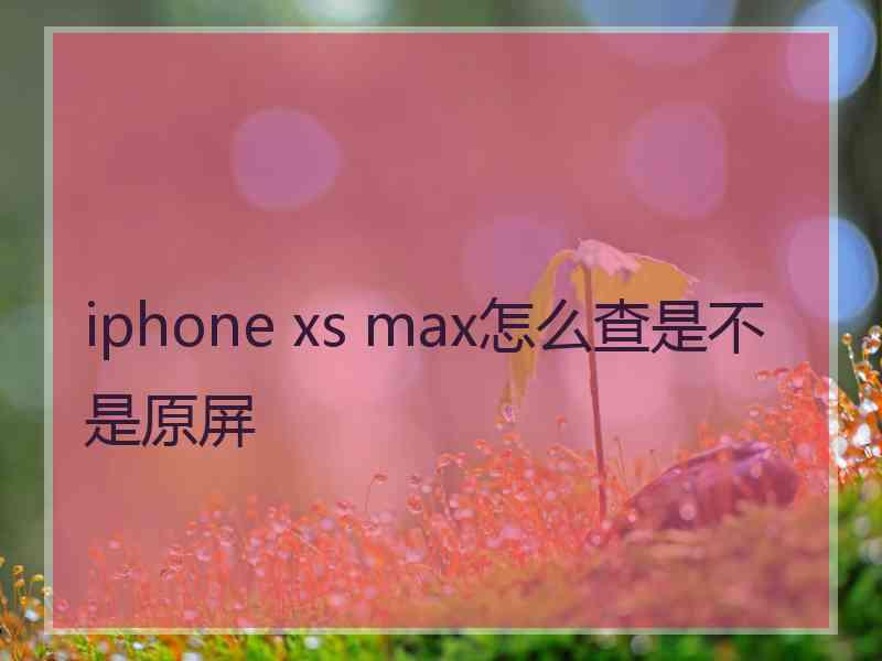 iphone xs max怎么查是不是原屏