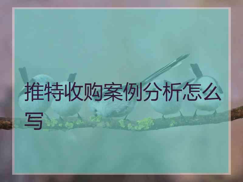 推特收购案例分析怎么写