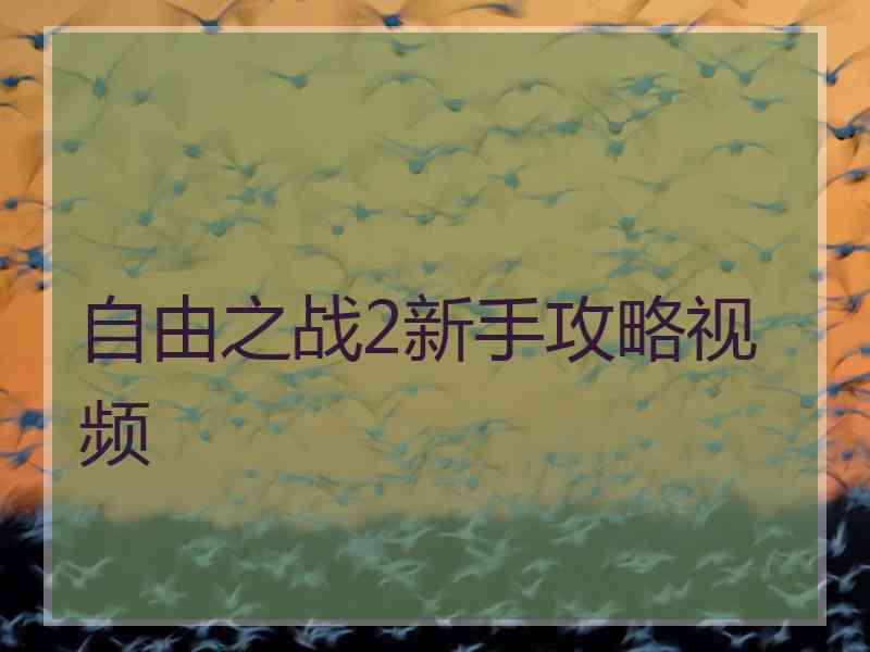 自由之战2新手攻略视频