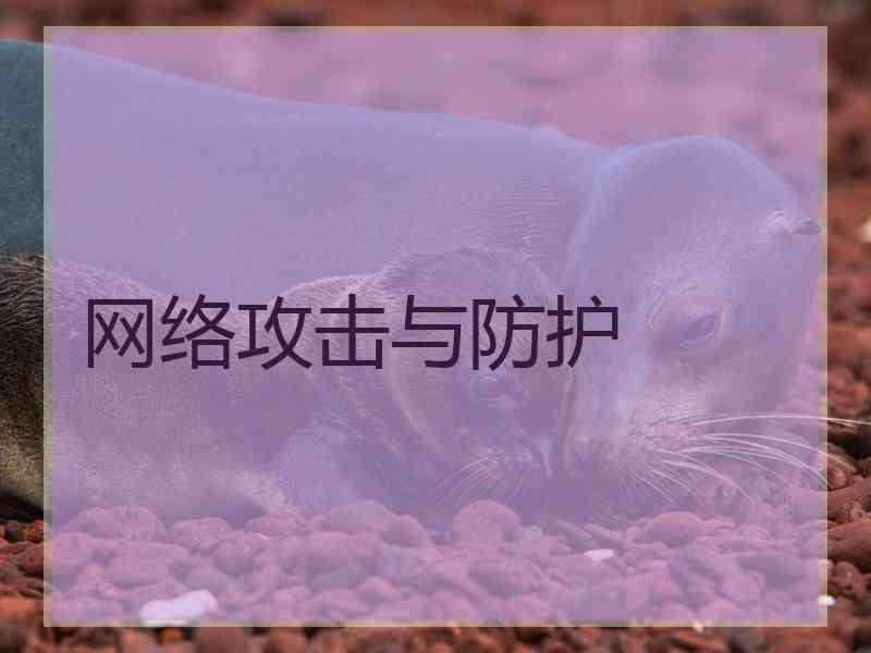 网络攻击与防护