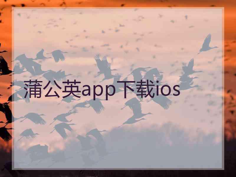 蒲公英app下载ios