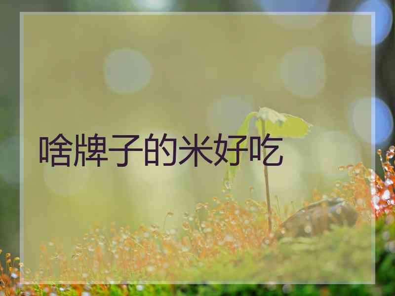 啥牌子的米好吃