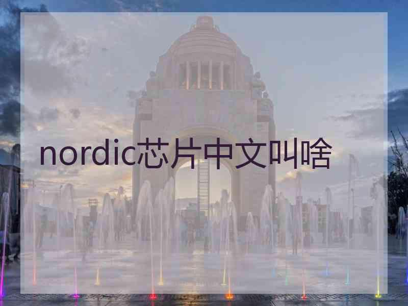 nordic芯片中文叫啥