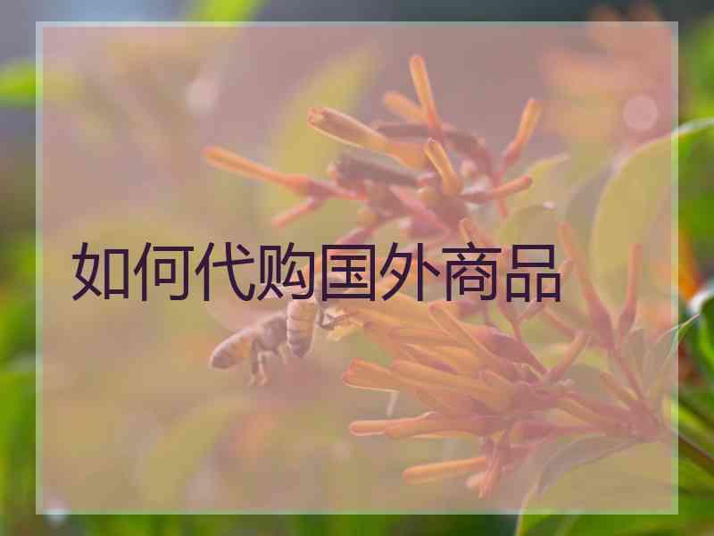 如何代购国外商品