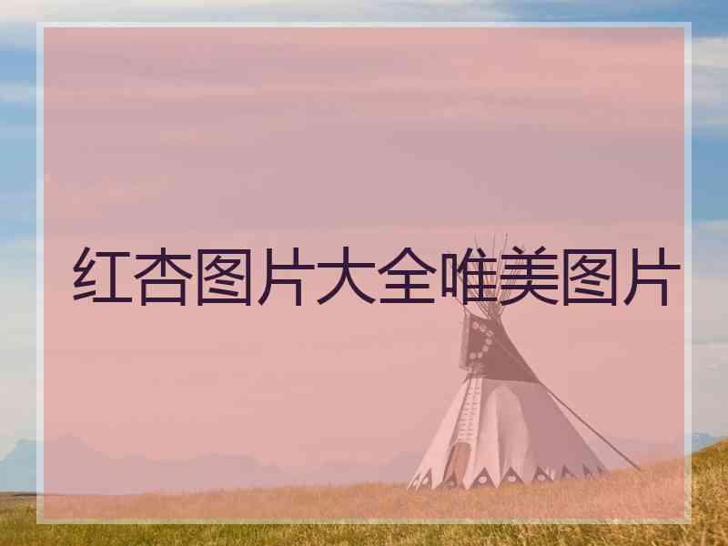 红杏图片大全唯美图片