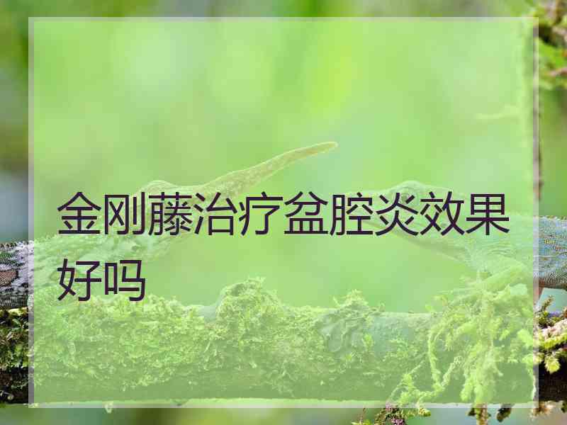 金刚藤治疗盆腔炎效果好吗