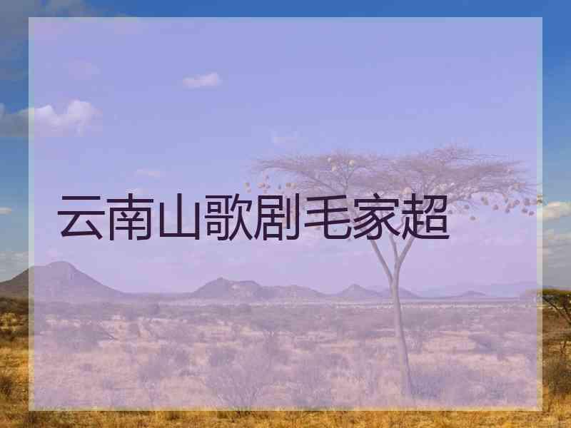 云南山歌剧毛家超