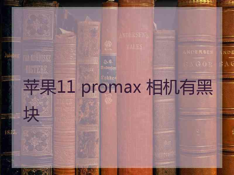 苹果11 promax 相机有黑块